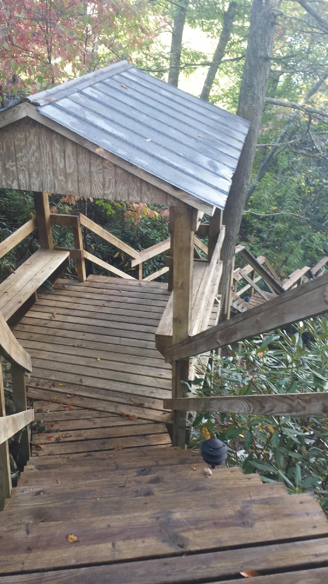 Metal roofed shelter over wooden steps on a wooded walkway — Skylight Repair & Installation work by our crew in Milroy
